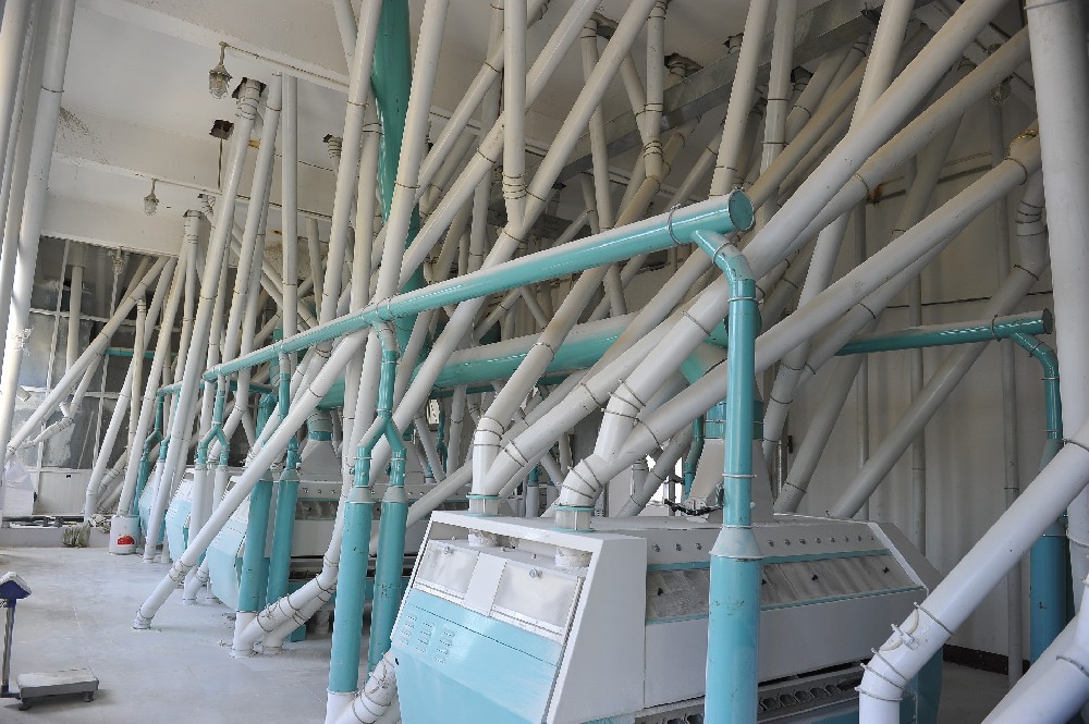 食品廠設備換新顏，晨虹醇酸外用磁漆打造安全衛生環境