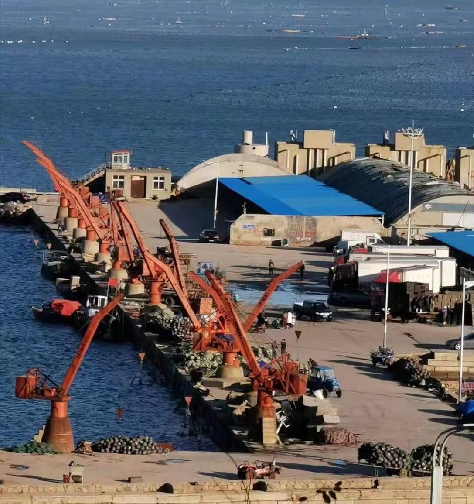 構建市場安全防護網，護航經銷商共贏之路